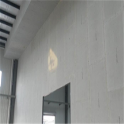 池州宁波ALC板|EPS加气板隔墙与混凝土整浇联接的实验研讨